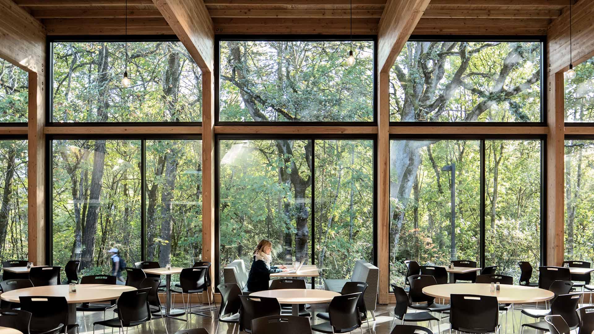 Canyon Commons photo - a large bank of windows in a mass timber building look out at a wooded area. 一位女士坐在前景中的一张桌子旁.